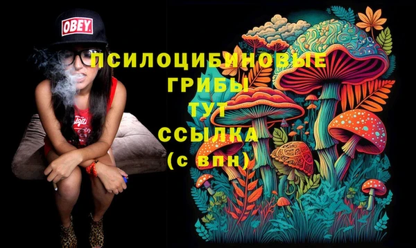 метадон Алзамай